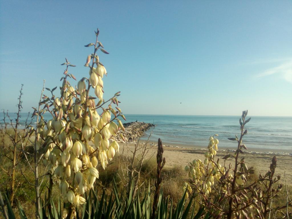 Villa Trifoglio Lido di Jesolo Luaran gambar